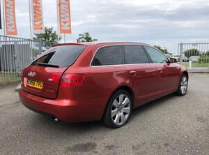 Kofferruimteklep AUDI A6 Avant (4F5, C6), AUDI A6 Allroad (4FH, C6)