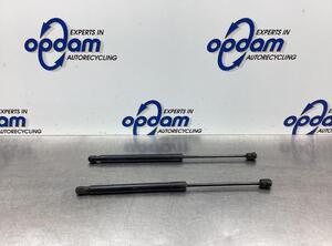 Bootlid (Tailgate) Gas Strut Spring VW PASSAT Variant (3C5), VW PASSAT B7 Estate Van (365), VW PASSAT B7 Variant (365)