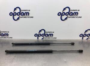 Bootlid (Tailgate) Gas Strut Spring CITROËN C4 GRAND PICASSO I (UA_), CITROËN C4 PICASSO I MPV (UD_)