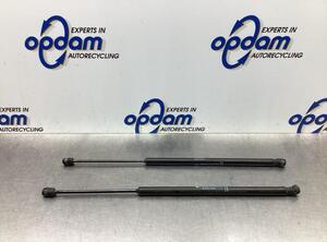 Bootlid (Tailgate) Gas Strut Spring CITROËN C4 GRAND PICASSO I (UA_), CITROËN C4 PICASSO I MPV (UD_)