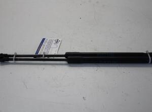 Bootlid (Tailgate) Gas Strut Spring BMW 1 (E87), BMW 1 (E81)