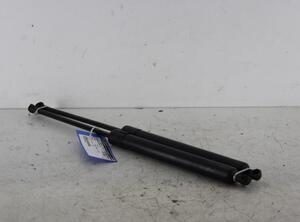 Bootlid (Tailgate) Gas Strut Spring RENAULT MODUS / GRAND MODUS (F/JP0_)