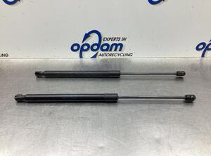 Bootlid (Tailgate) Gas Strut Spring VW TIGUAN (5N_), VW TIGUAN (AD1, AX1), VW TIGUAN VAN (5N_)