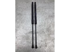 Bootlid (Tailgate) Gas Strut Spring CITROËN C3 III (SX), CITROËN C3 II (SC_)