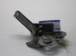 Bonnet Hinge CITROËN C4 GRAND PICASSO I (UA_), CITROËN C4 PICASSO I MPV (UD_)