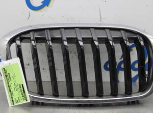 Radiateurgrille BMW 2 Active Tourer (F45)