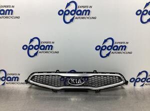 Radiator Grille KIA PICANTO (TA), KIA PICANTO (JA)