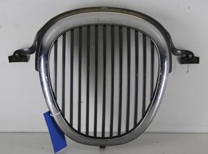 Radiator Grille JAGUAR S-TYPE (X200)