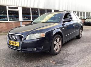 Wing AUDI A4 Avant (8ED, B7), AUDI A4 Avant (8E5, B6)