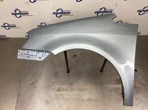 Spatbord VW TOURAN (1T1, 1T2), VW TOURAN (1T3), VW TOURAN VAN (1T1, 1T2)