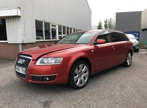 Wing AUDI A6 Avant (4F5, C6), AUDI A6 Allroad (4FH, C6)