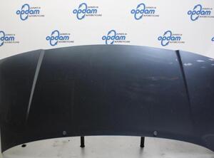 Bonnet FIAT SCUDO Van (220_), FIAT SCUDO Platform/Chassis (220_)