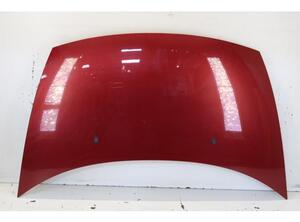 
Motorhaube Citroen C3 FC  P13243795
