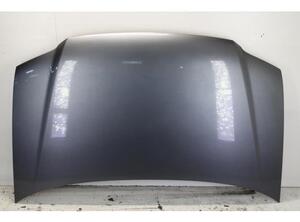 Bonnet VW TOURAN (1T1, 1T2), VW TOURAN (1T3), VW TOURAN VAN (1T1, 1T2)