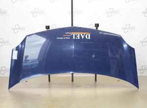 Bonnet RENAULT KANGOO Express (FW0/1_), RENAULT KANGOO / GRAND KANGOO (KW0/1_)