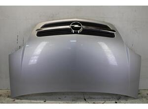 Motorhaube Opel Meriva A   P13462767