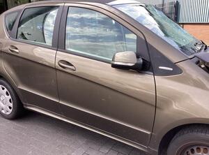 Door MERCEDES-BENZ A-CLASS (W169)