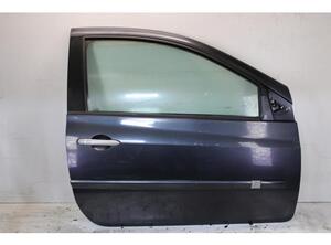 Door RENAULT CLIO III (BR0/1, CR0/1), RENAULT CLIO IV (BH_), RENAULT CLIO II (BB_, CB_)