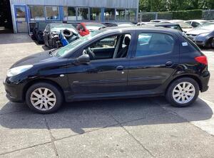 Door PEUGEOT 206+ (2L_, 2M_)