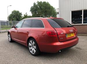 Door AUDI A6 Avant (4F5, C6), AUDI A6 Allroad (4FH, C6)