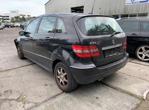 Door MERCEDES-BENZ B-CLASS (W245)