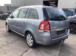 Door OPEL ZAFIRA / ZAFIRA FAMILY B (A05)