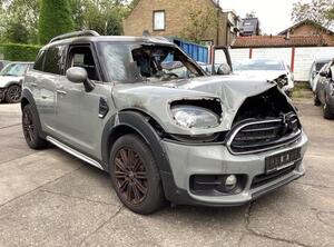 Door MINI MINI COUNTRYMAN (F60)