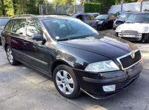 Deur SKODA OCTAVIA II Combi (1Z5)