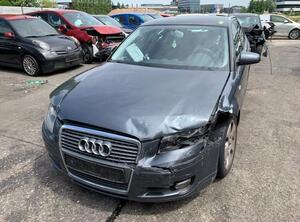 Door AUDI A3 (8P1), AUDI A3 Sportback (8PA)