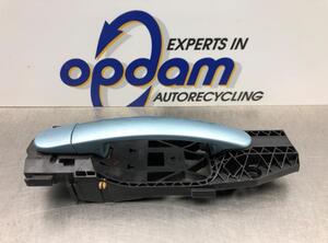 Door Handle VW POLO (6R1, 6C1), VW POLO Van (6R)