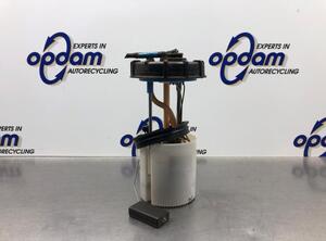 Fuel Pump VW TOURAN (1T1, 1T2), VW TOURAN (1T3)