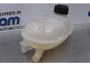 Coolant Expansion Tank RENAULT CLIO V (B7_)