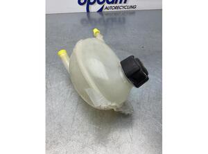 Coolant Expansion Tank RENAULT CLIO IV Grandtour (KH_), RENAULT CLIO III Grandtour (KR0/1_)