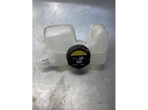 Coolant Expansion Tank VOLVO XC90 II (256)