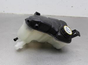 Coolant Expansion Tank VOLVO V70 III (135), VOLVO XC70 II (136)