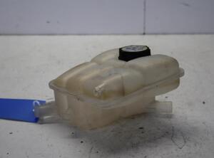 Coolant Expansion Tank FORD TOURNEO CONNECT / GRAND TOURNEO CONNECT V408 MPV