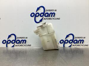 Coolant Expansion Tank HYUNDAI i30 (FD), HYUNDAI i30 (GD), HYUNDAI i30 Coupe, HYUNDAI i30 Estate (FD)