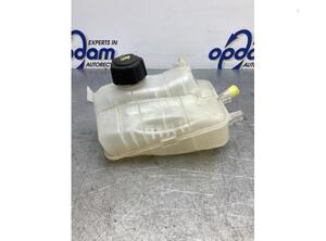 Coolant Expansion Tank RENAULT MEGANE III Grandtour (KZ0/1)