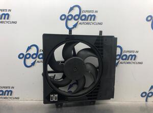 Radiator Electric Fan  Motor PEUGEOT 207 (WA_, WC_)