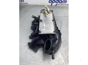 
Ansaugkrümmer VW Polo V 6R, 6C 03F145749B P18514245
