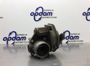 Throttle Body FORD FOCUS C-MAX (DM2), FORD C-MAX (DM2)