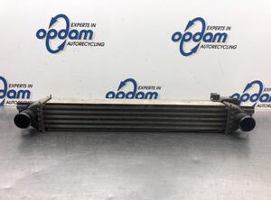 Intercooler FIAT FIORINO Box Body/MPV (225_), FIAT QUBO (225_)