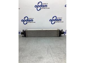 Intercooler FIAT DOBLO Cargo (263_), FIAT DOBLO MPV (263_)