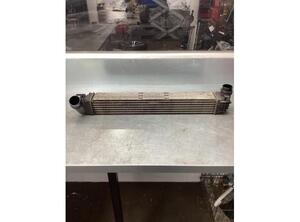 Intercooler RENAULT SCÉNIC III (JZ0/1_), RENAULT GRAND SCÉNIC III (JZ0/1_)