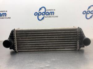 Intercooler FORD TRANSIT CONNECT (P65_, P70_, P80_)