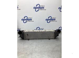 Intercooler BMW 5 (F10)