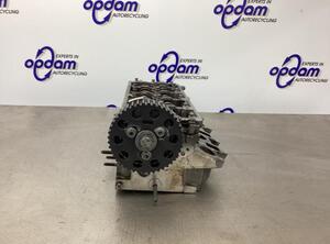 Cylinder Head VW POLO (6R1, 6C1)