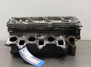 Cylinder Head SKODA FABIA II Combi (545), SKODA ROOMSTER Praktik (5J), VW POLO (6R1, 6C1), VW POLO Van (6R)