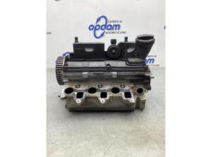 Cylinder Head VW POLO (6R1, 6C1), VW POLO Van (6R), SKODA FABIA II Combi (545), SKODA ROOMSTER Praktik (5J)