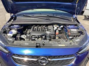 Bare Engine OPEL CORSA F (P2JO)